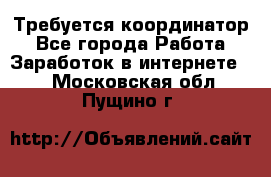 Требуется координатор - Все города Работа » Заработок в интернете   . Московская обл.,Пущино г.